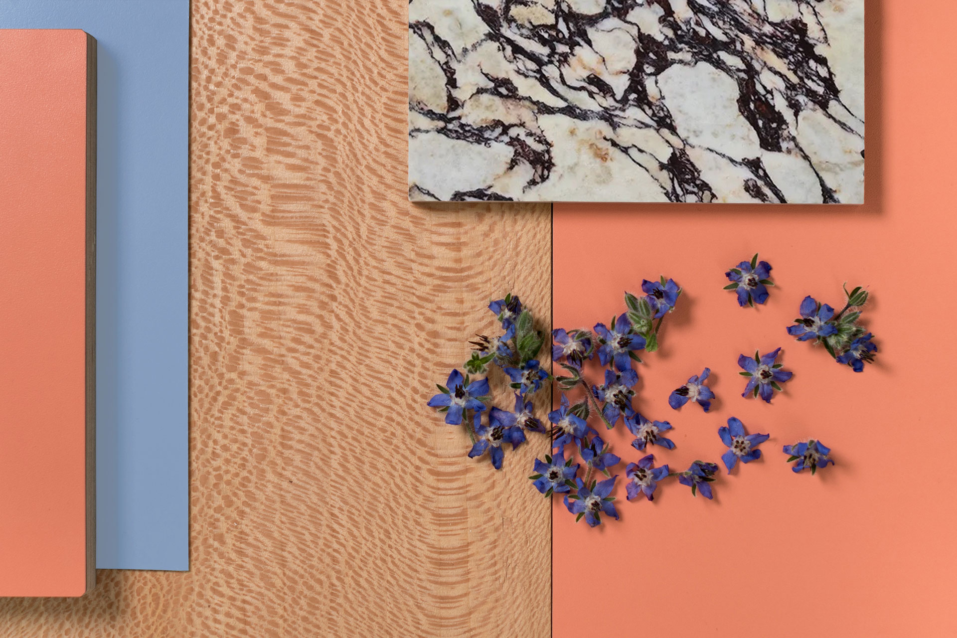Colour and texture filled kitchen inspiration with coral pink, blue, London Plane wood, veined marble and purple flowers.