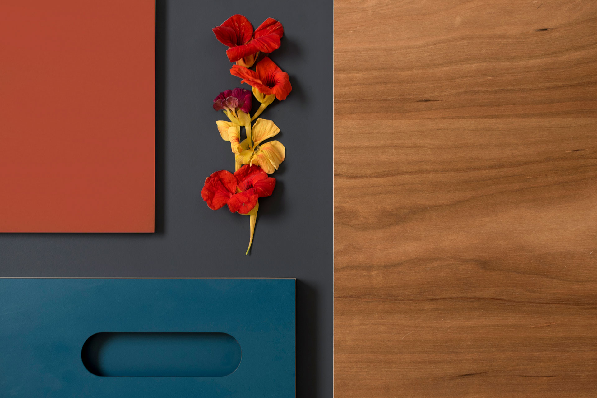 Kitchen colour and wood inspiration with terracotta red, dark grey, deep blue and warm Cherry wood with nasturtium flowers.
