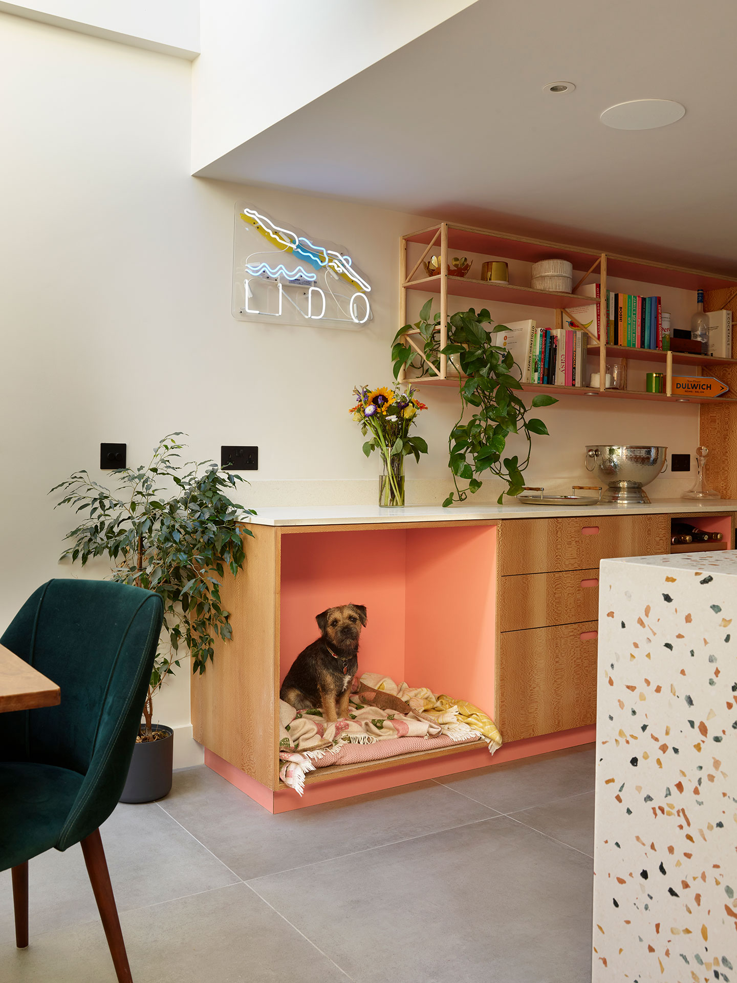 A dog nook in a dark grey and coral pink open plan kitchen with a London Plane wood cocktail cabinet and waterfall edge terrazzo topped island.