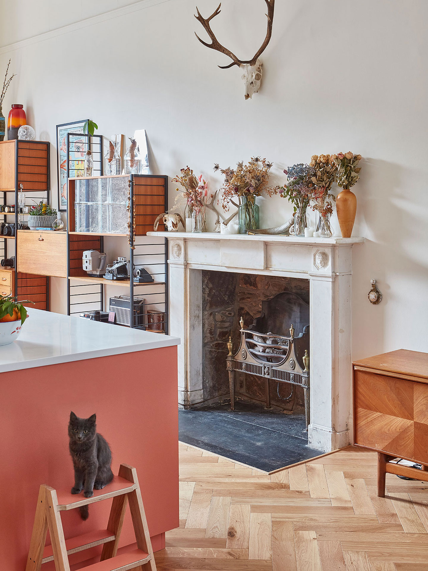 Open plan pink and green Pluck kitchen in a Georgian Edinburgh home.