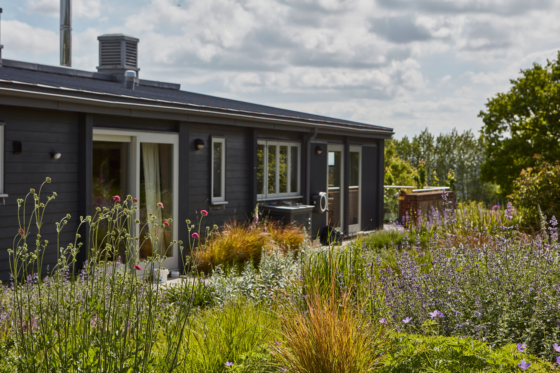 Landscaped gardens surrounds a single-story eco home in the Kent countryside.