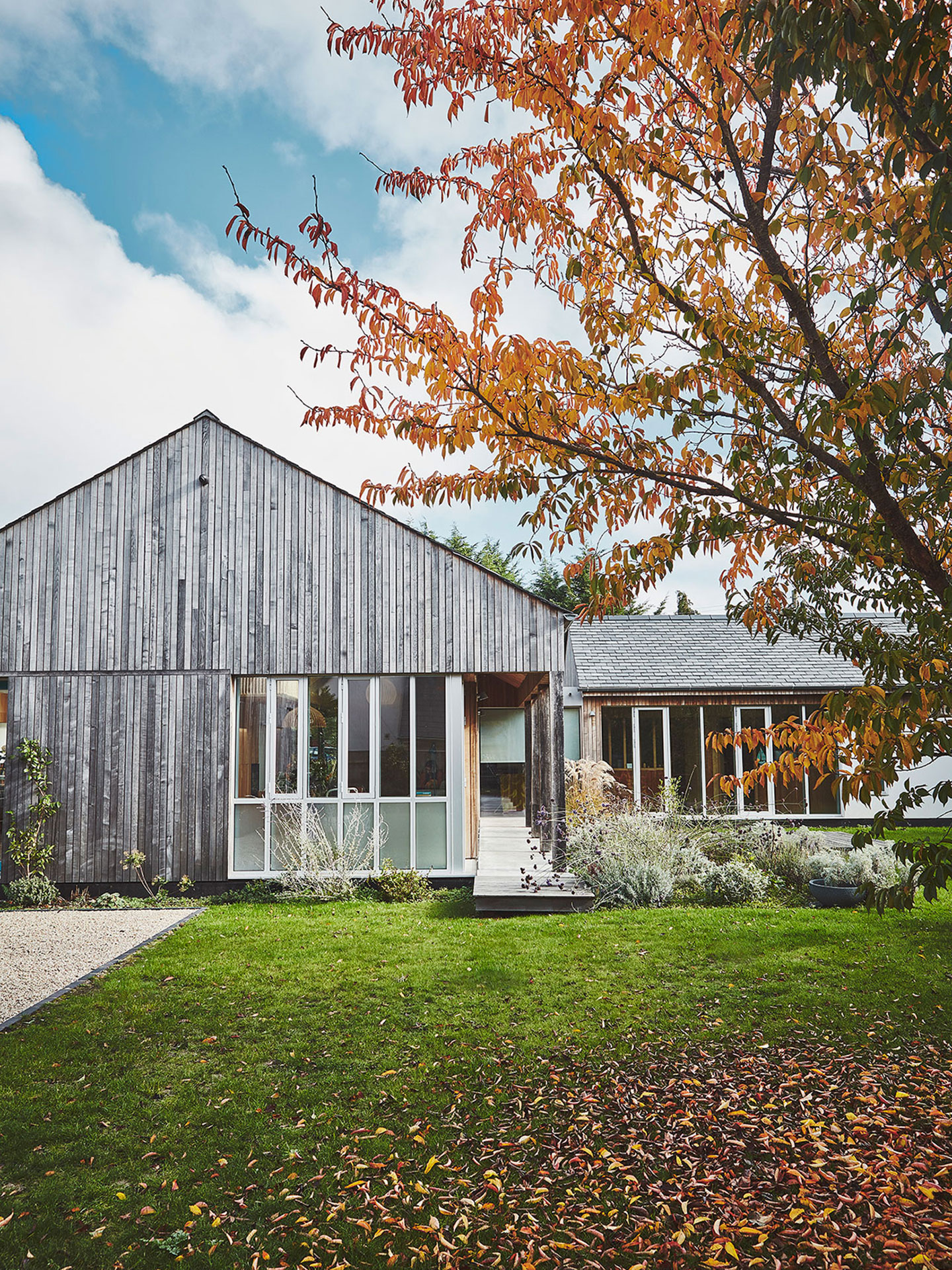 New Forest eco home with London Plane wood and coral pink cabinets.