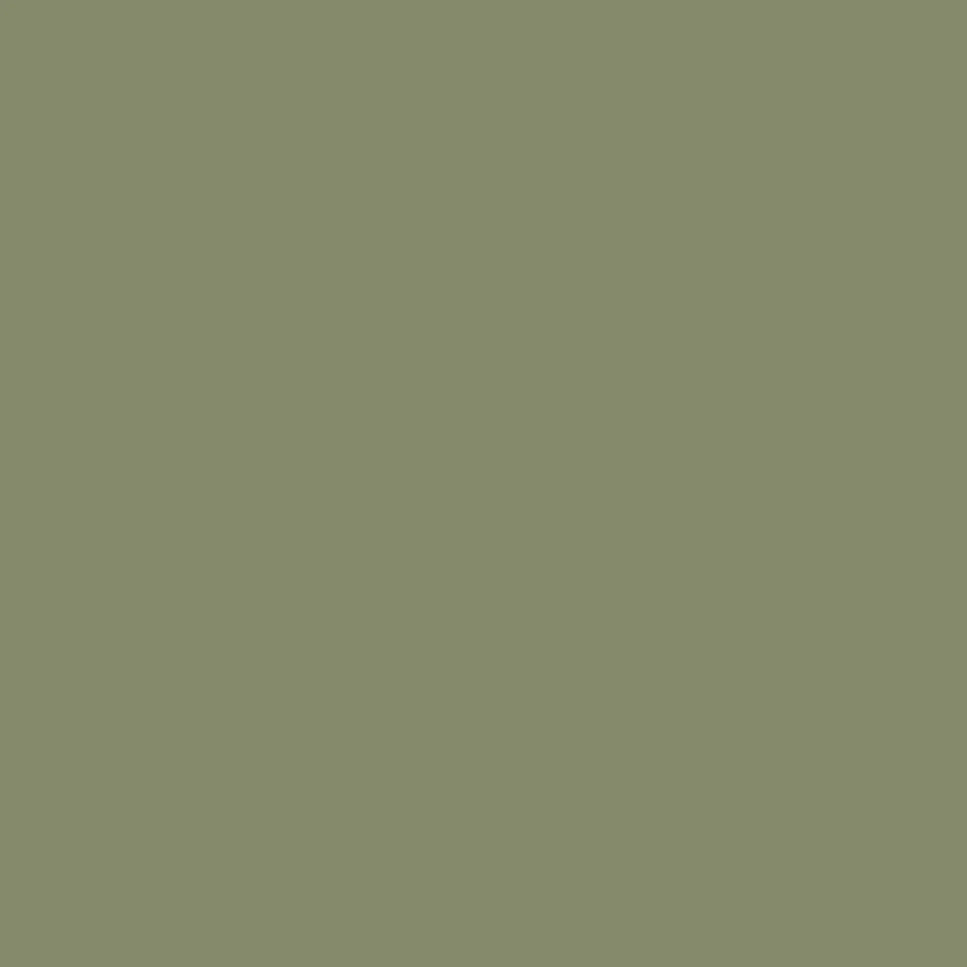 Soft khaki green, a pale shade that feels earthy and has subtle undertones of grey.