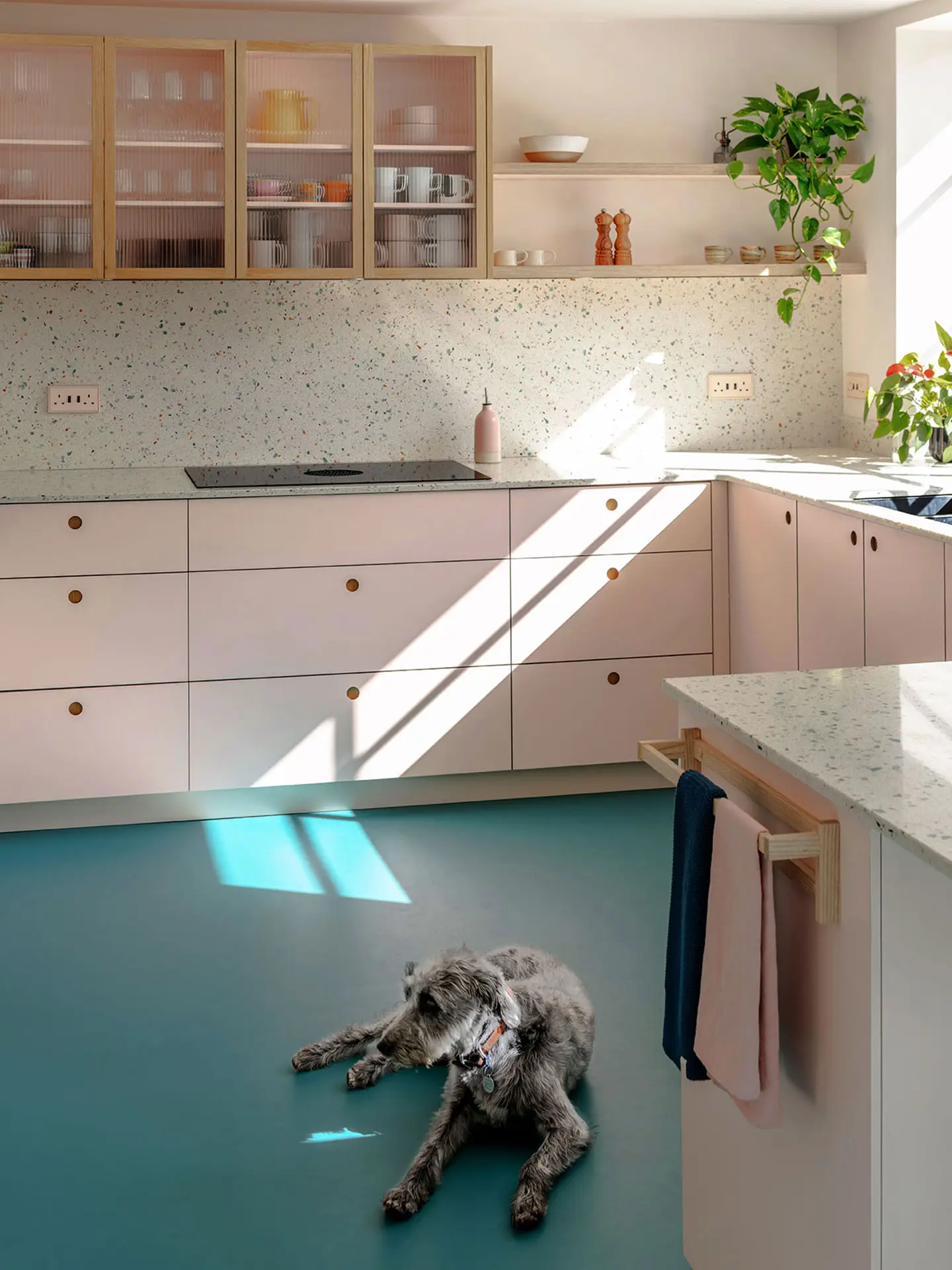 Pastel pink and beige Pluck cabinetry in an open plan space with a bright blue floor.
