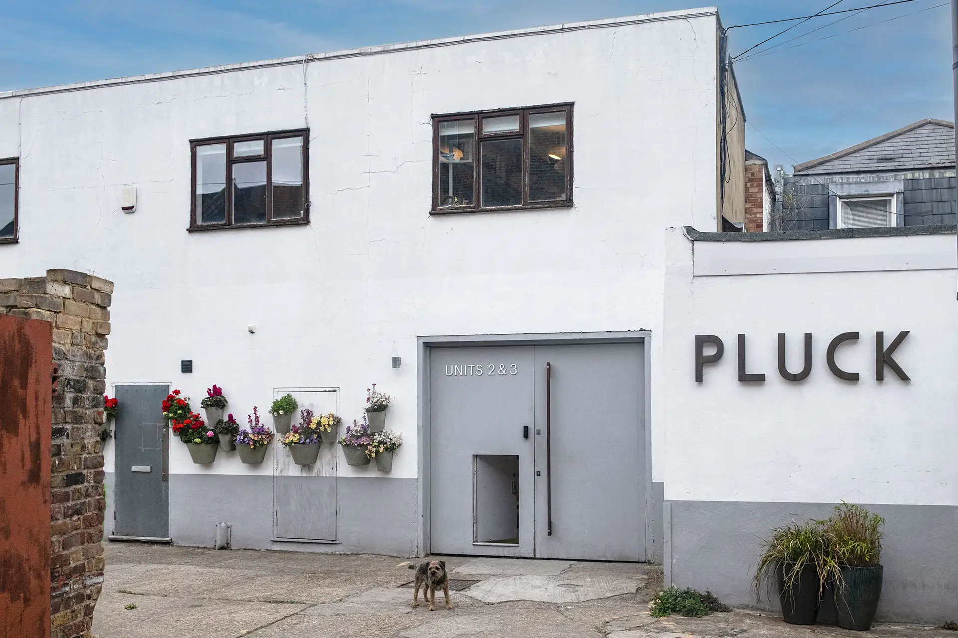 Pluck Kitchens South London Headquarters