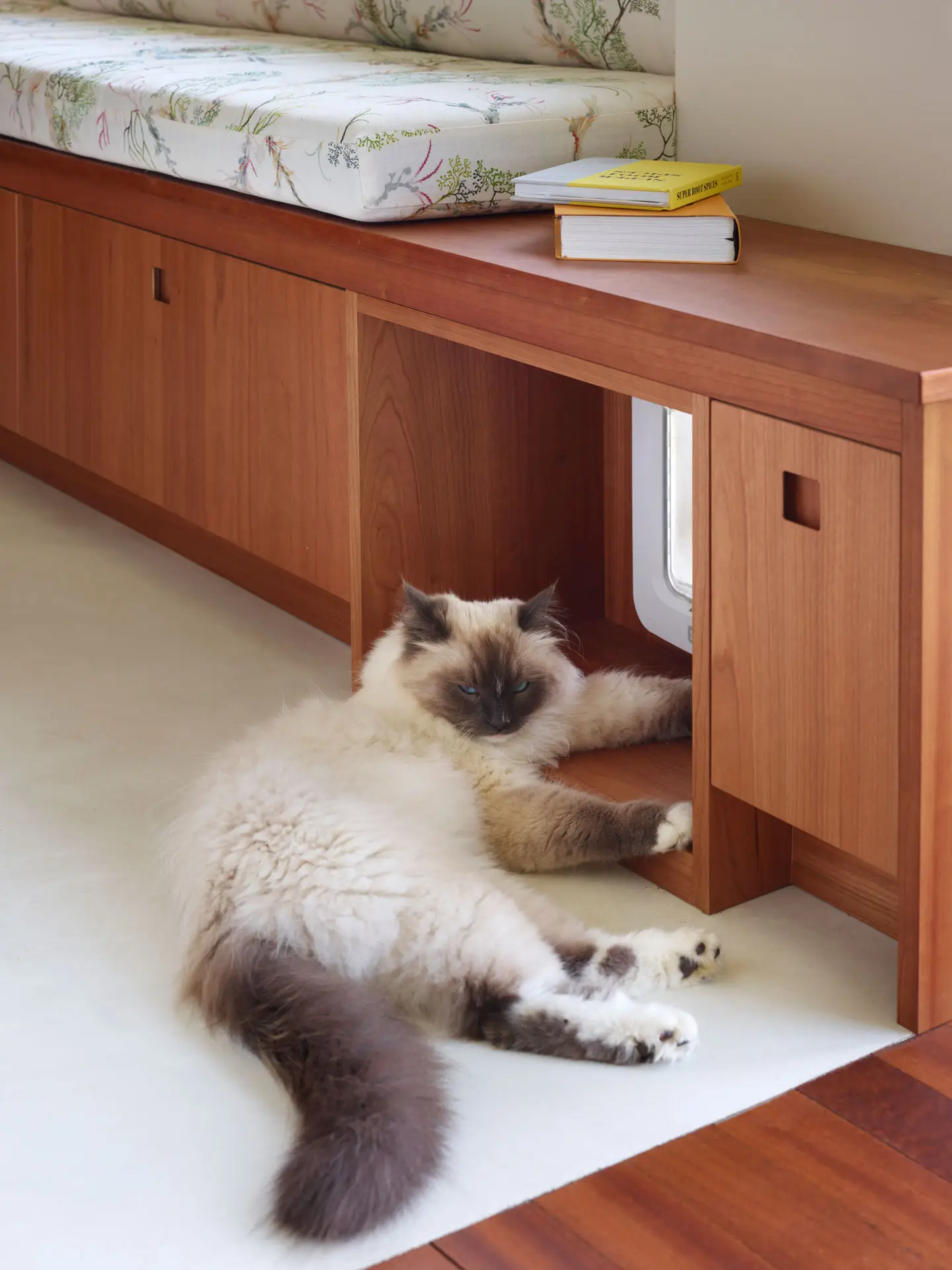 A sassy cat next to custom Pluck cherry wood cabinetry including a cat flap.